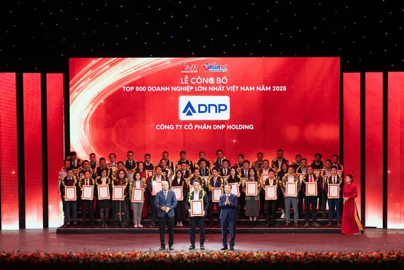 DNP HOLDING TIẾP TỤC ĐƯỢC VINH DANH TRONG TOP 500 DOANH NGHIỆP LỚN NHẤT VIỆT NAM 2025; TOP 3 NGÀNH NHỰA